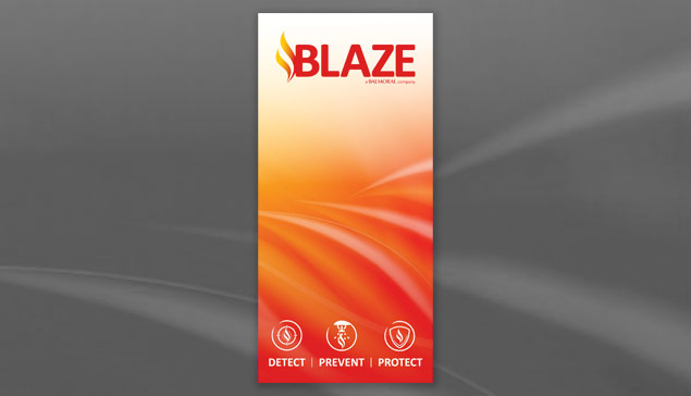 Blaze corporate profile